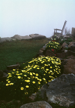 Chair Facing Seaward