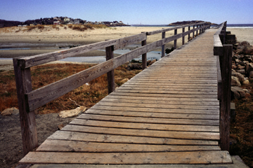 Wooden Bridge	