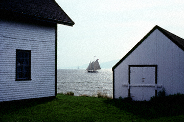 Evening in August